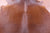 Brown Natural Cowhide Rug - XX-Large 7' 8"H x 7' 0"W