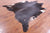Dark Brown Natural Cowhide Rug - XX-Large 9' 1"H x 8' 1"W