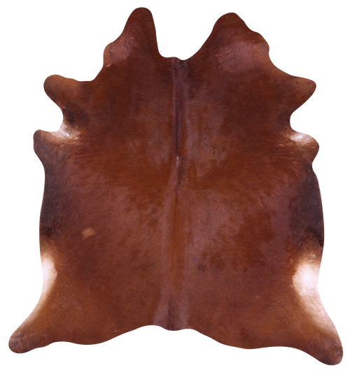 Brown Natural Cowhide Rug - Large 6' 10