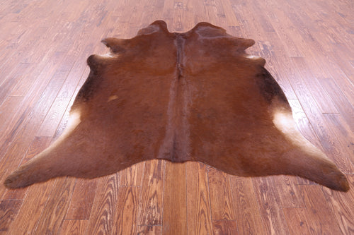 Brown Natural Cowhide Rug - Large 6' 10
