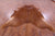 Brown Natural Cowhide Rug - XX-Large 8' 2"H x 7' 7"W