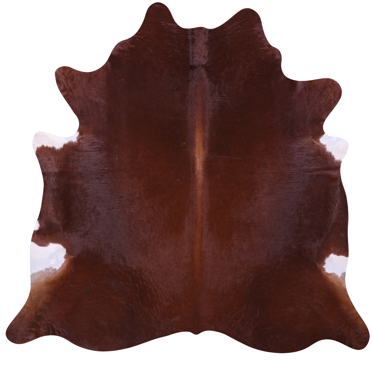 Brown Natural Cowhide Rug - X-Large 7' 2"H x 7' 5"W
