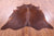 Brown Natural Cowhide Rug - X-Large 7' 2"H x 7' 0"W