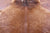 Brown Natural Cowhide Rug - XX-Large 9' 1"H x 7' 7"W