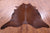 Brown Natural Cowhide Rug - XX-Large 8' 3"H x 7' 2"W