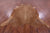 Brown Natural Cowhide Rug - XX-Large 8' 4"H x 7' 7"W