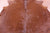 Brown Natural Cowhide Rug - X-Large 7' 2"H x 6' 10"W