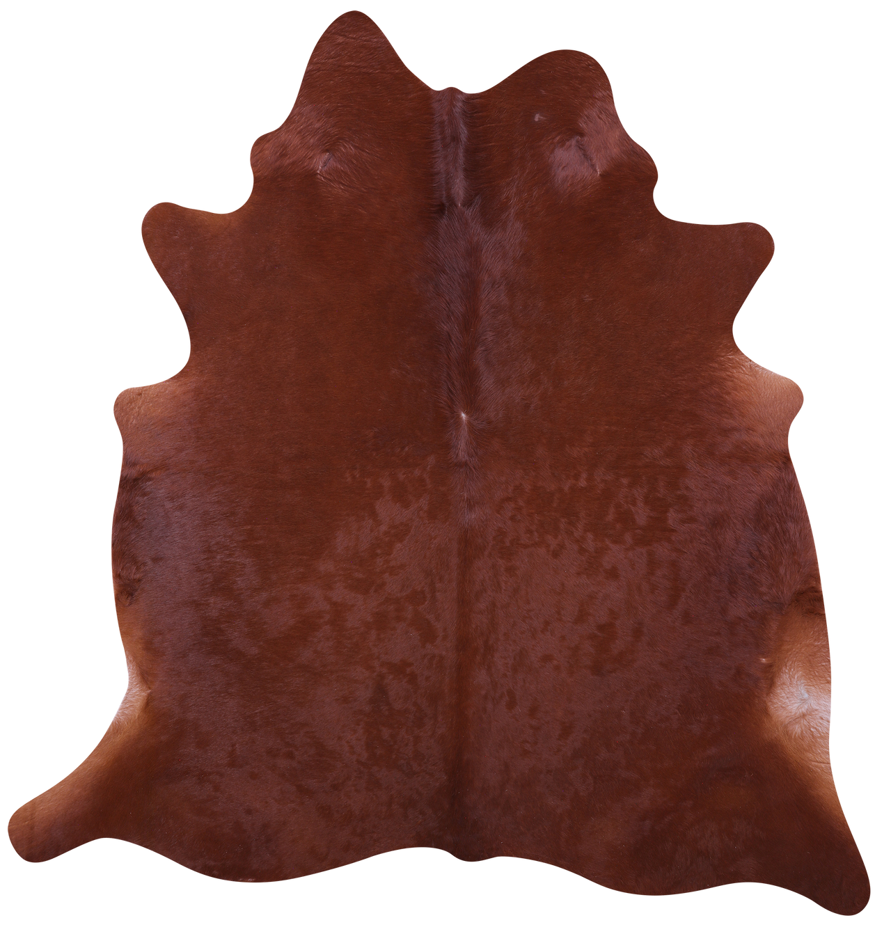 Brown Natural Cowhide Rug - X-Large 7' 2"H x 6' 10"W