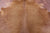 Brown Natural Cowhide Rug - XX-Large 8' 4"H x 7' 8"W