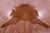 Brown Natural Cowhide Rug - XX-Large 8' 6"H x 7' 9"W
