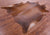 Brown Natural Cowhide Rug - XX-Large 8' 0"H x 7' 2"W