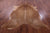 Brown Natural Cowhide Rug - XX-Large 8' 0"H x 7' 0"W