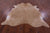 Light Brown Natural Cowhide Rug - X-Large 7' 6"H x 6' 9"W