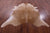 Light Brown Natural Cowhide Rug - X-Large 7' 5"H x 6' 8"W