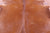 Brown Natural Cowhide Rug - XX-Large 8' 2"H x 7' 3"W