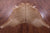 Light Brown Natural Cowhide Rug - XX-Large 8' 0"H x 7' 0"W