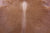 Brown Natural Cowhide Rug - XX-Large 7' 8"H x 6' 6"W