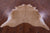 Light Brown Natural Cowhide Rug - X-Large 7' 1"H x 6' 5"W