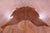 Dark Brown Natural Cowhide Rug - Large 6' 8"H x 6' 10"W
