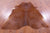 Dark Brown Natural Cowhide Rug - X-Large 7' 0"H x 5' 8"W