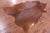 Dark Brown Natural Cowhide Rug - X-Large 7' 0"H x 5' 8"W