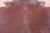 Dark Brown Natural Cowhide Rug - X-Large 7' 0"H x 6' 5"W