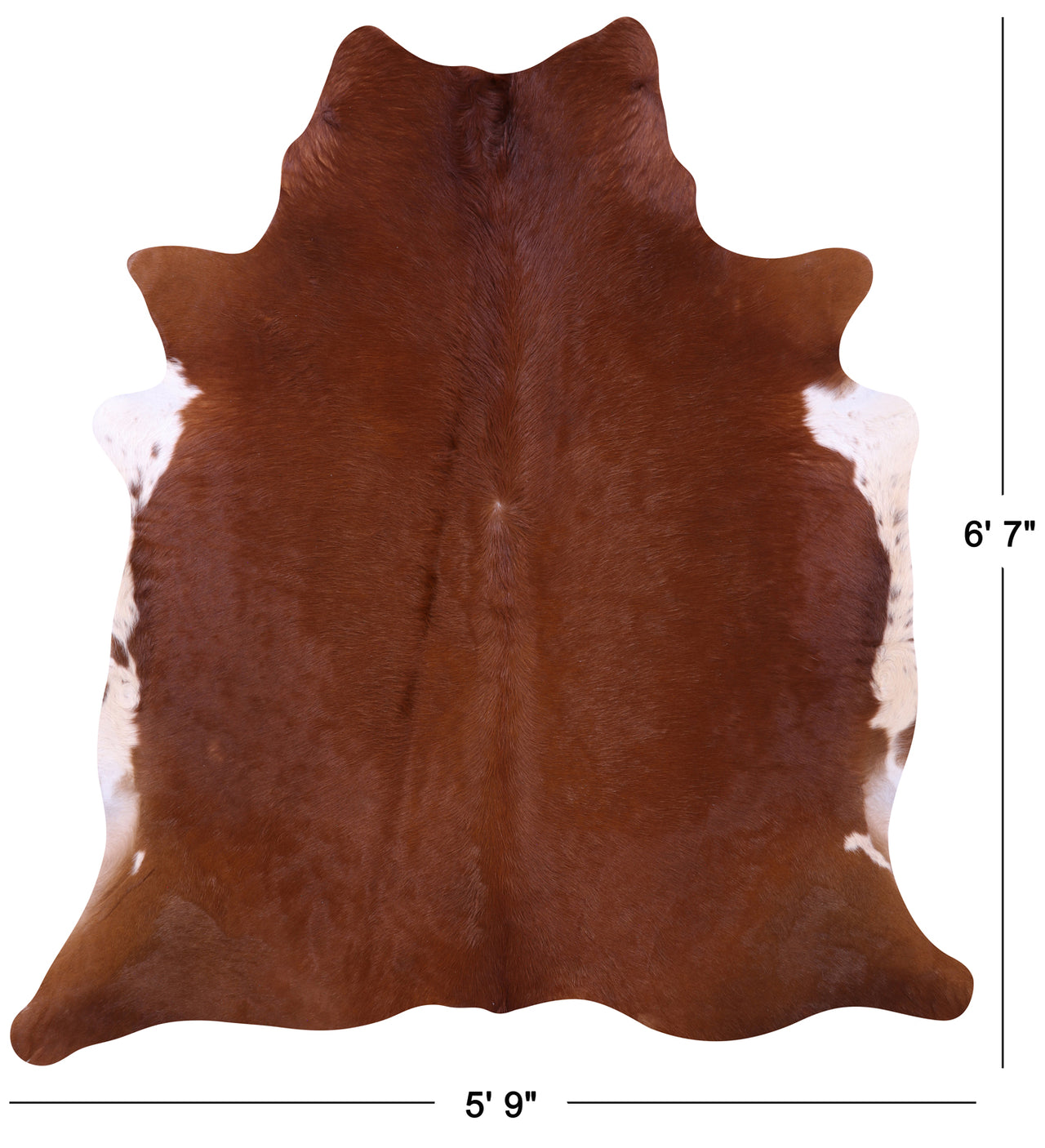 Brown Natural Cowhide Rug - Large 6' 7"H x 5' 9"W