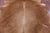 Light Brown Natural Cowhide Rug - X-Large 7' 0"H x 5' 6"W