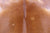Brown Natural Cowhide Rug - Large 6' 5"H x 6' 3"W