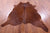 Brown Natural Cowhide Rug - X-Large 7' 2"H x 6' 1"W