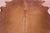 Brown Natural Cowhide Rug - X-Large 7' 1"H x 6' 2"W