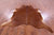 Brown Natural Cowhide Rug - Large 6' 10"H x 6' 8"W