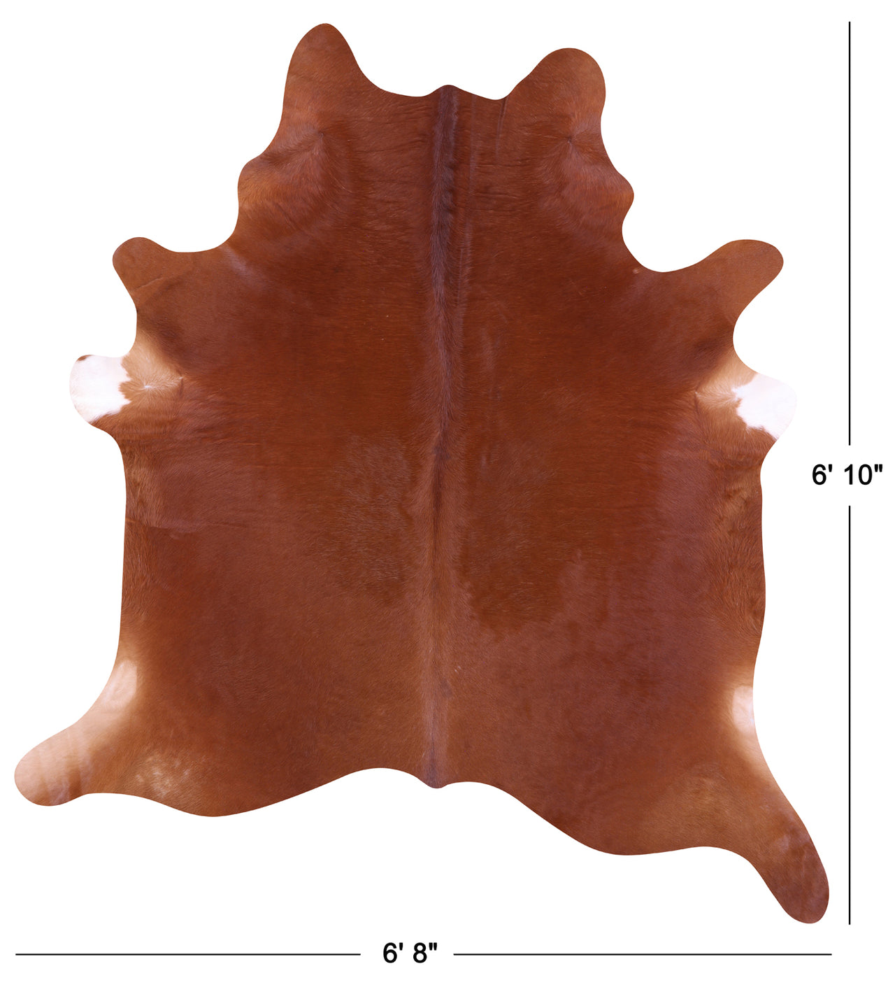 Brown Natural Cowhide Rug - Large 6' 10"H x 6' 8"W