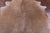 Light Brown Natural Cowhide Rug - Large 6' 10"H x 6' 6"W