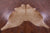 Light Brown Natural Cowhide Rug - X-Large 7' 6"H x 6' 3"W
