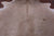 Beige Natural Cowhide Rug - Large 6' 9"H x 6' 6"W
