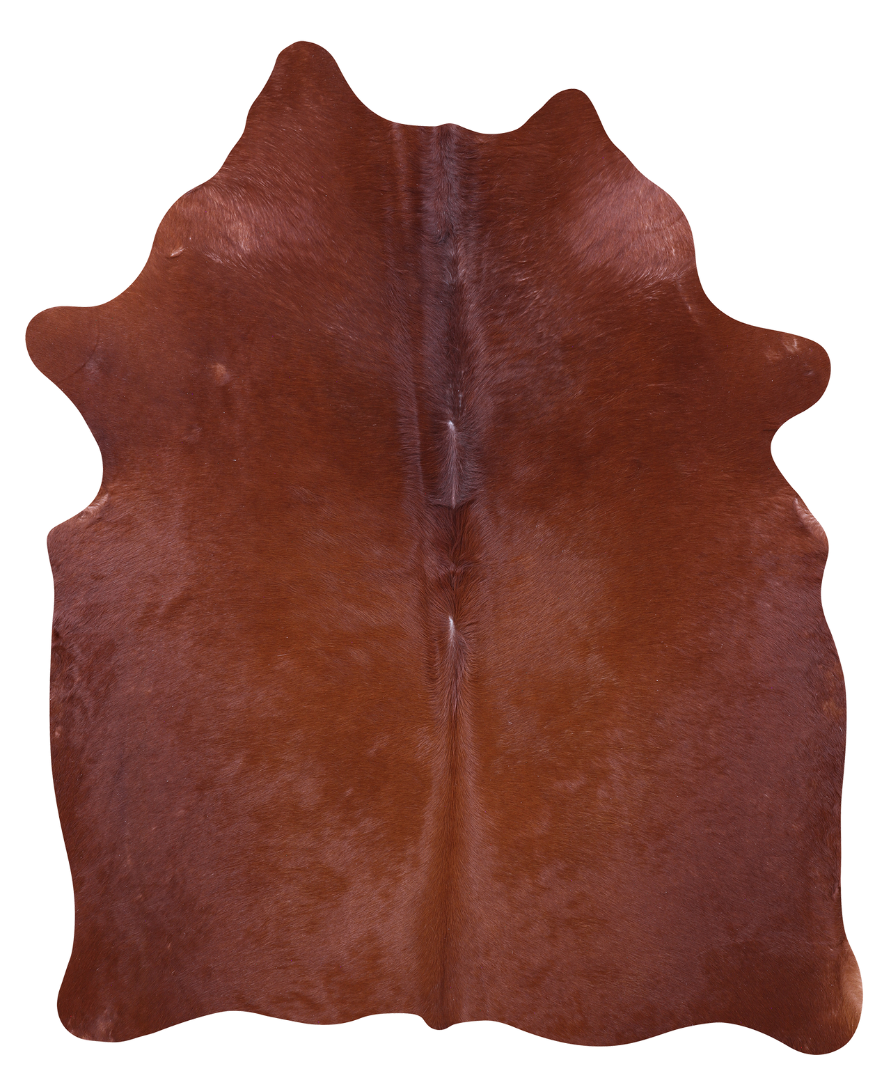 Brown Natural Cowhide Rug - Medium 6' 1"H x 5' 0"W