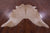 Light Brown Natural Cowhide Rug - X-Large 7' 0"H x 6' 5"W