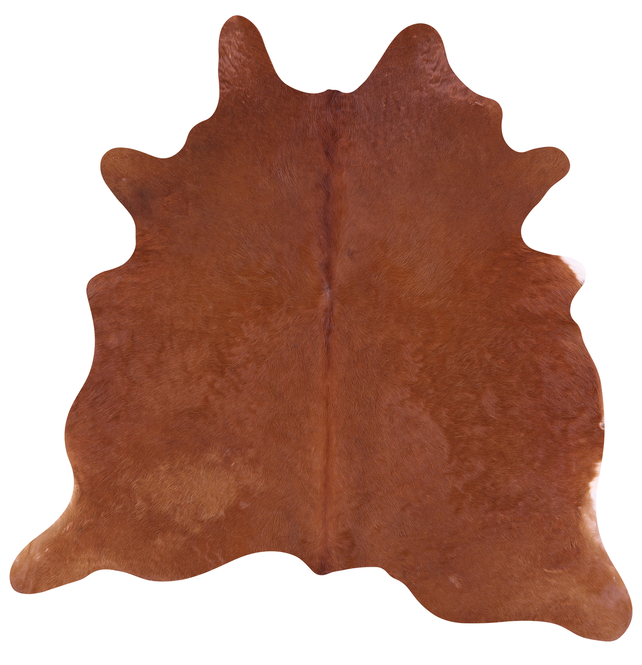 Brown Natural Cowhide Rug - Medium 6' 1"H x 6' 2"W
