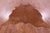 Brown Natural Cowhide Rug - Medium 6' 1"H x 6' 2"W