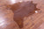Brown Natural Cowhide Rug - Large 6' 10"H x 6' 6"W