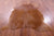Brown Natural Cowhide Rug - Large 6' 10"H x 6' 1"W
