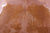 Brown Natural Cowhide Rug - Large 6' 10"H x 6' 1"W