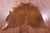 Brown Natural Cowhide Rug - Large 6' 9"H x 5' 9"W