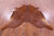 Brown Natural Cowhide Rug - Large 6' 8"H x 6' 5"W