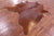 Brown Natural Cowhide Rug - Large 6' 8"H x 6' 5"W