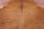 Brown Natural Cowhide Rug - Medium 6' 3"H x 6' 6"W