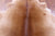 Brown Natural Cowhide Rug - Large 6' 8"H x 6' 3"W