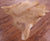 Light Brown Natural Cowhide Rug - XX-Large 8' 1"H x 7' 9"W