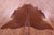 Brown Natural Cowhide Rug - XX-Large 8' 5"H x 7' 8"W